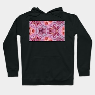 Pink roses Hoodie